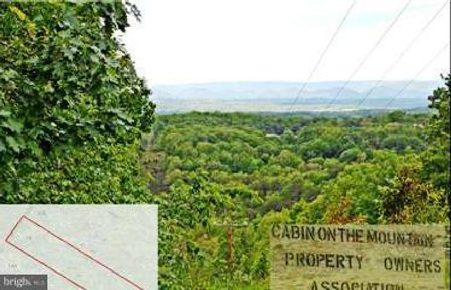 LOCATED OFF A LEVEL ROAD-MOUNTAIN VIEWS-MOBILES ALLOWED-OR BUILD YOUR DREAM HOME-HUNTING HIKING OR JUST GETTING AWAY. LOCATED JUST 3 MILES FROM ROMNEY WV-CLOSE TO PUBLIC ACCESS TO SOUTH BRANCH POTOMAC RIVER.BUY NOW BUILD LATER.  8 ACRE LOT