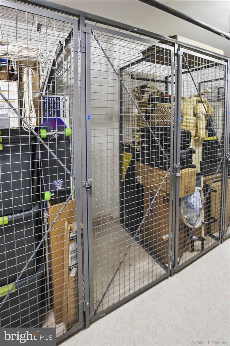 CLARENDON 1021 - Residential