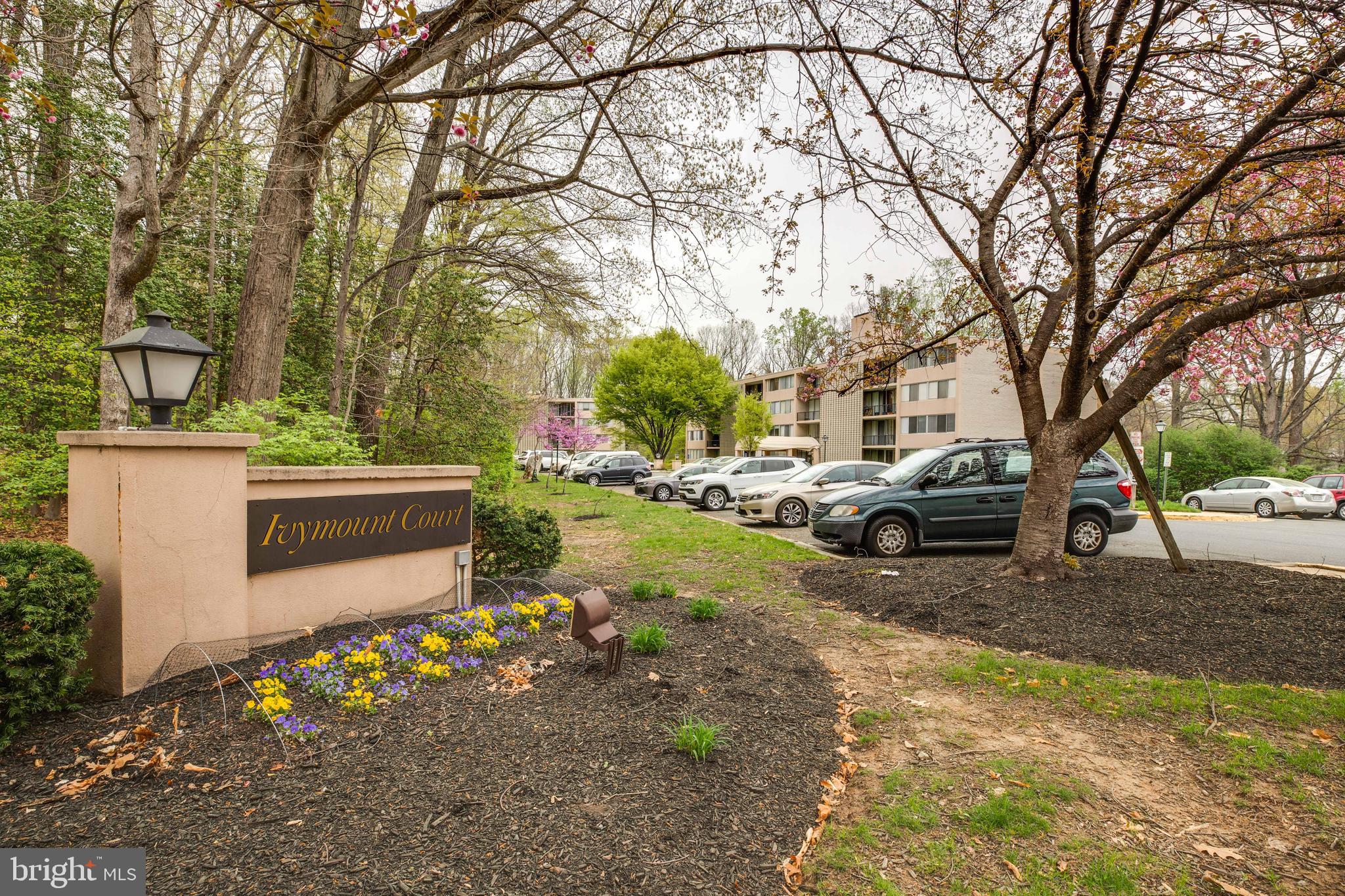 IVYMOUNT COURT - Residential Lease