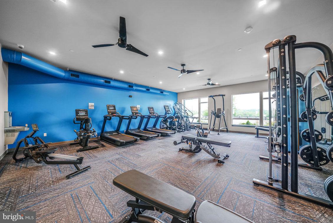 PHOENIX COMMUNITIES - Residential Lease