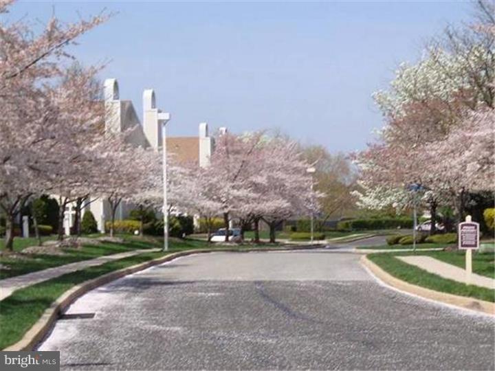 MONTGOMERY PLACE - Residential