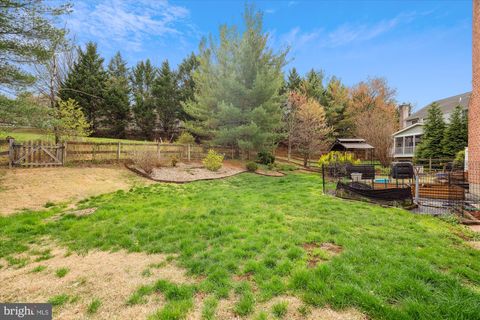 listing image 59