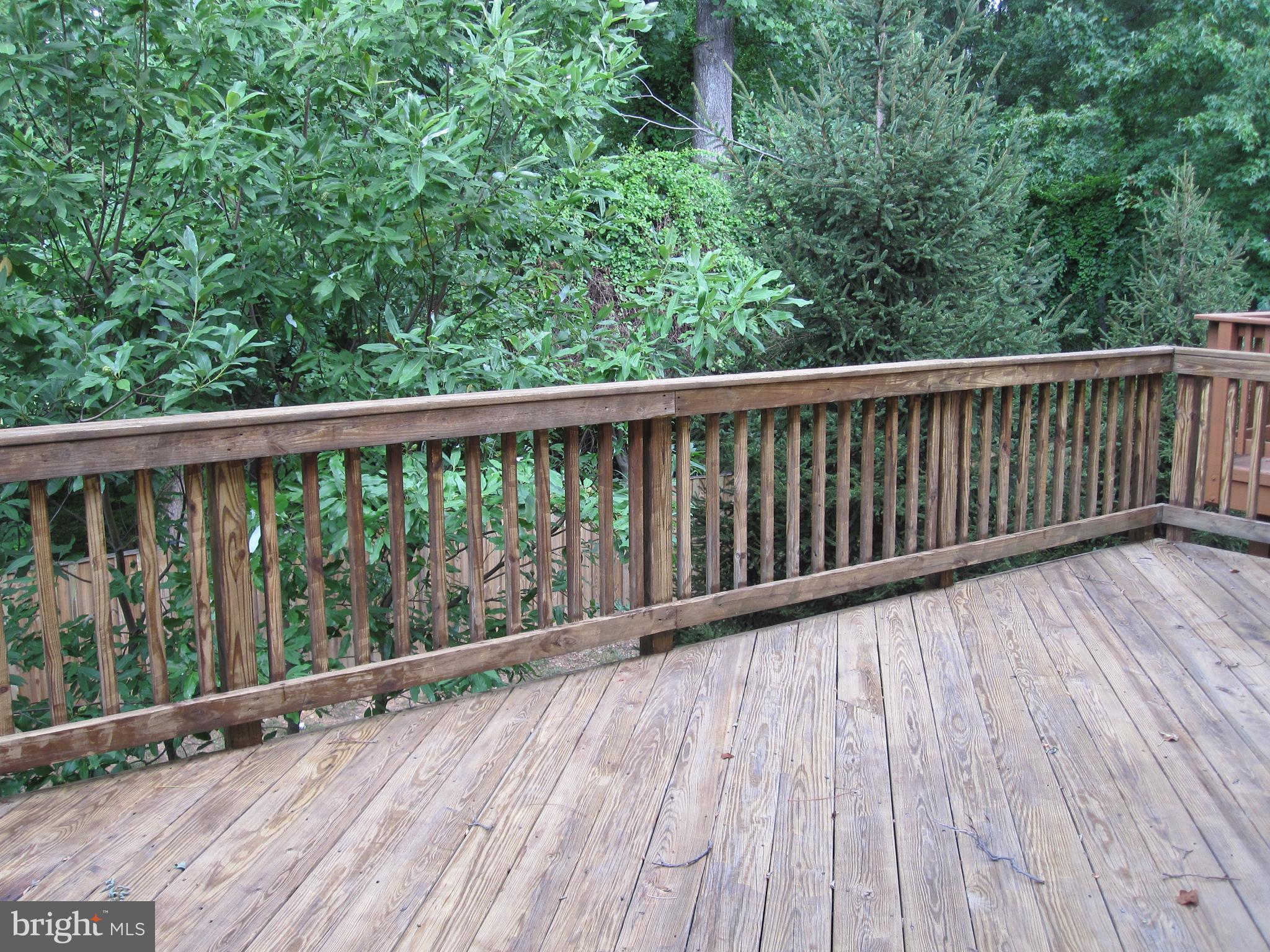 FAIR CHASE - Residential Lease