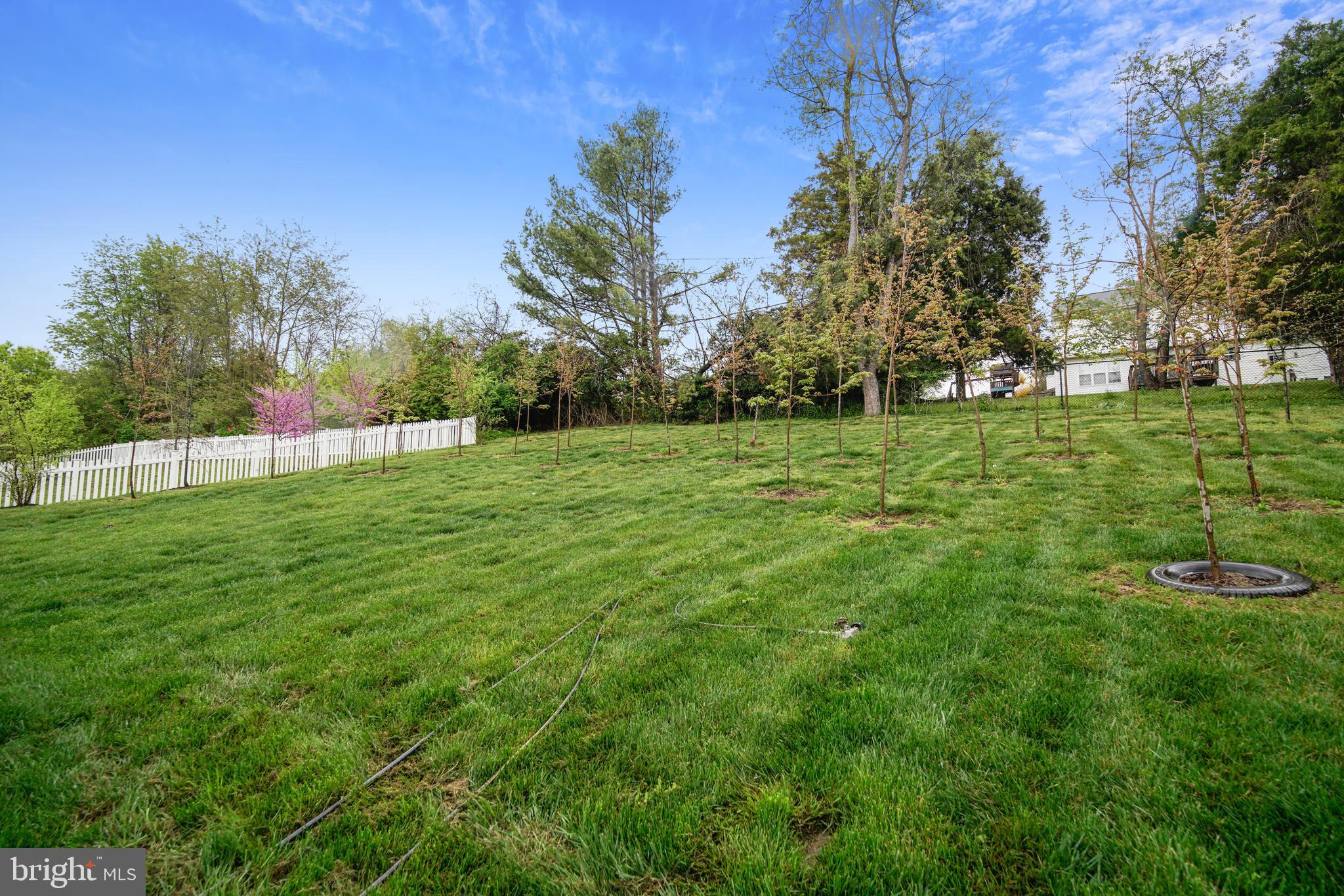 CLIFFTON ON THE POTOMAC - Residential