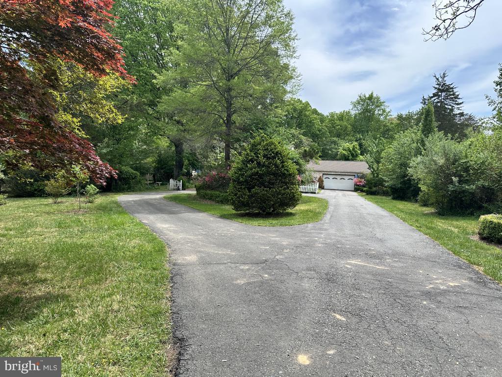 300 MOUNT OLIVE ROAD