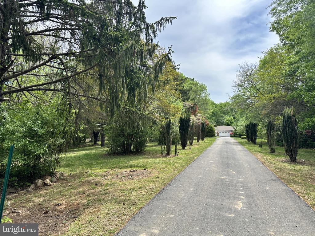 300 MOUNT OLIVE ROAD