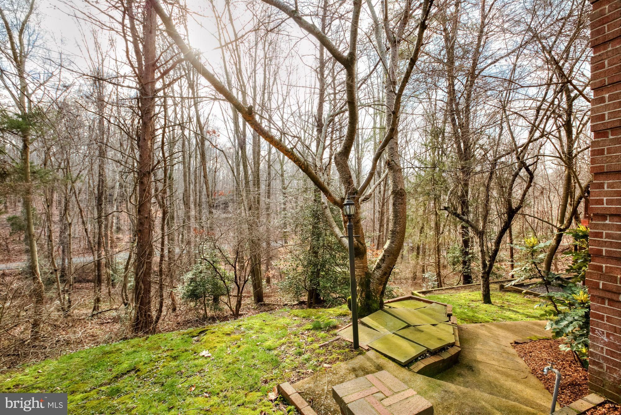 TOWLSTON MEADOWS - Residential