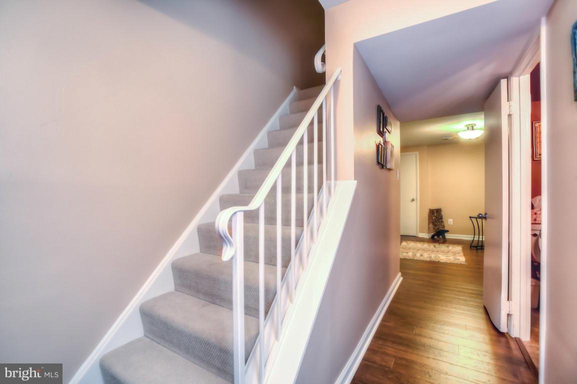 DANBURY FOREST - Residential