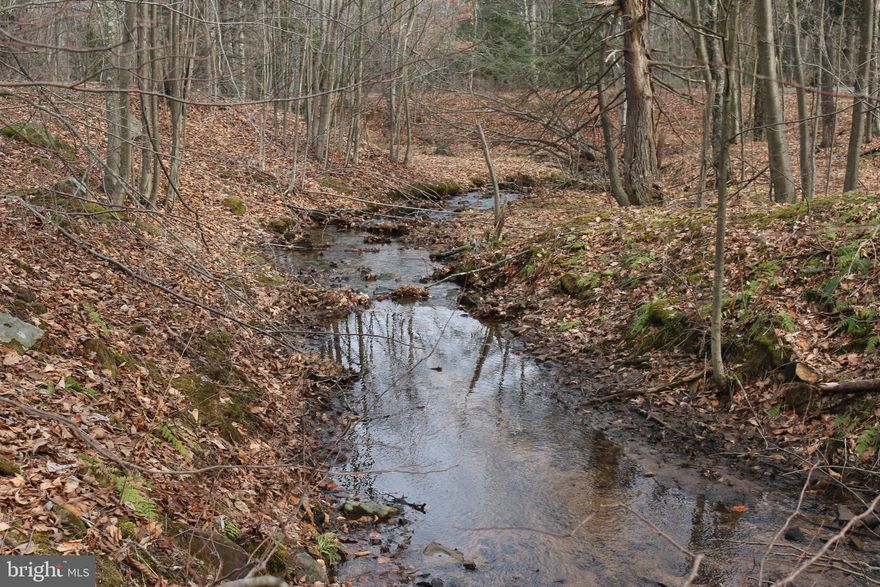 Own your PIECE OF HEAVEN West Virginia! Private 5.03 acres in Sugar Grove Farm Subdivision off of Bismark Rd. Beautiful and peaceful creek/stream runs through property.  Land already cleared for a cabin or house with a wooded area behind you for privacy. Perfect for a permanent home or a weekend getaway! Can have a well drilled if desired. Multiple springs are available. Electric can be ran to the property off of nearby pole. Located about 3 miles away from Mount Storm's heated lake - Vepco Lake.
Close to the Corridor H and hiking, fishing, boating, swimming, Seneca Rocks, Blackwater Falls, Canaan Valley Ski Resort and more.