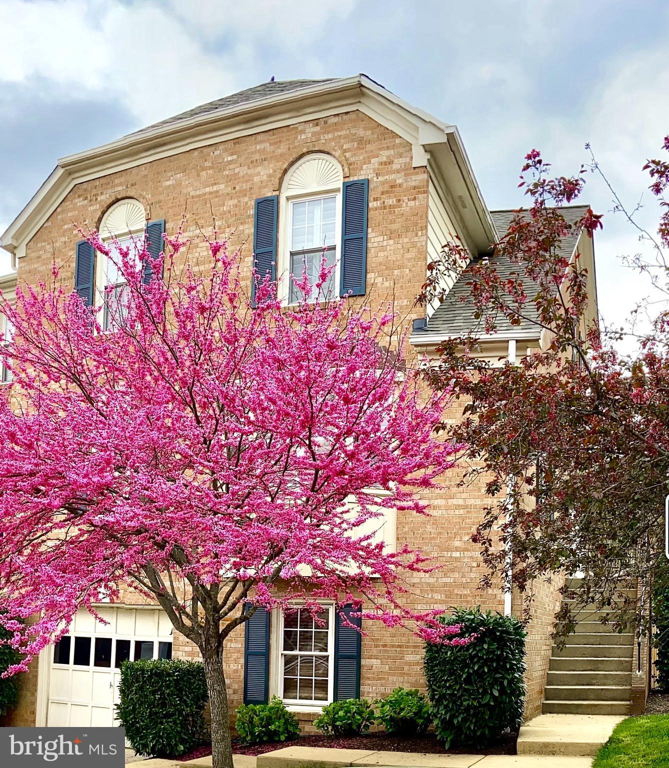 HAHN PROPERTY - Residential