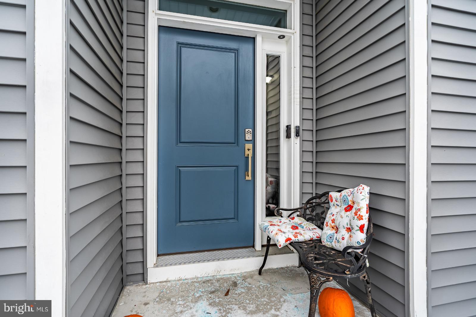 VILLAGES AT CHESTER SPRINGS - Residential