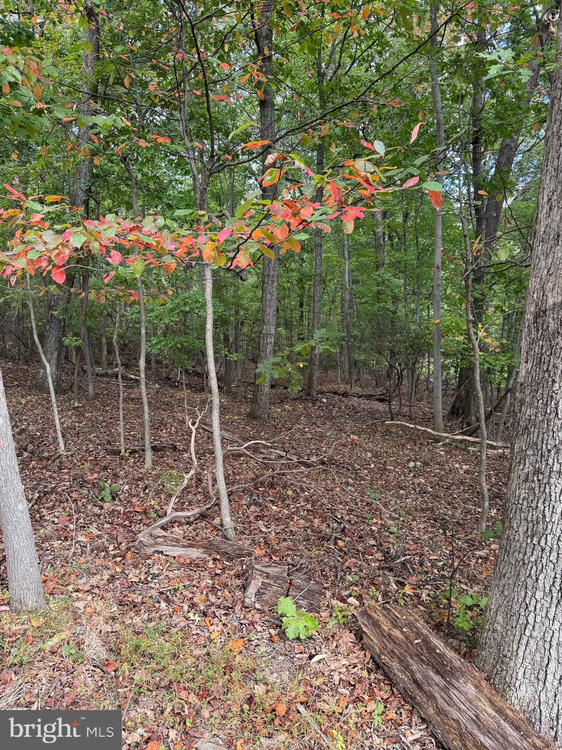 BULL RUN MOUNTAIN ESTATE - Land