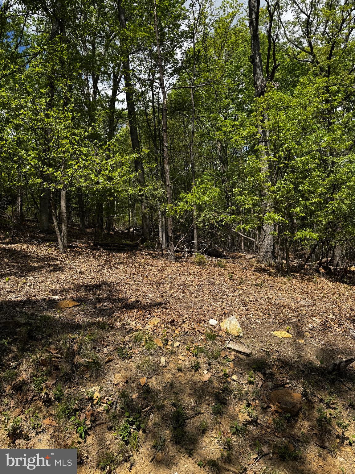 BULL RUN MOUNTAIN ESTATE - Land