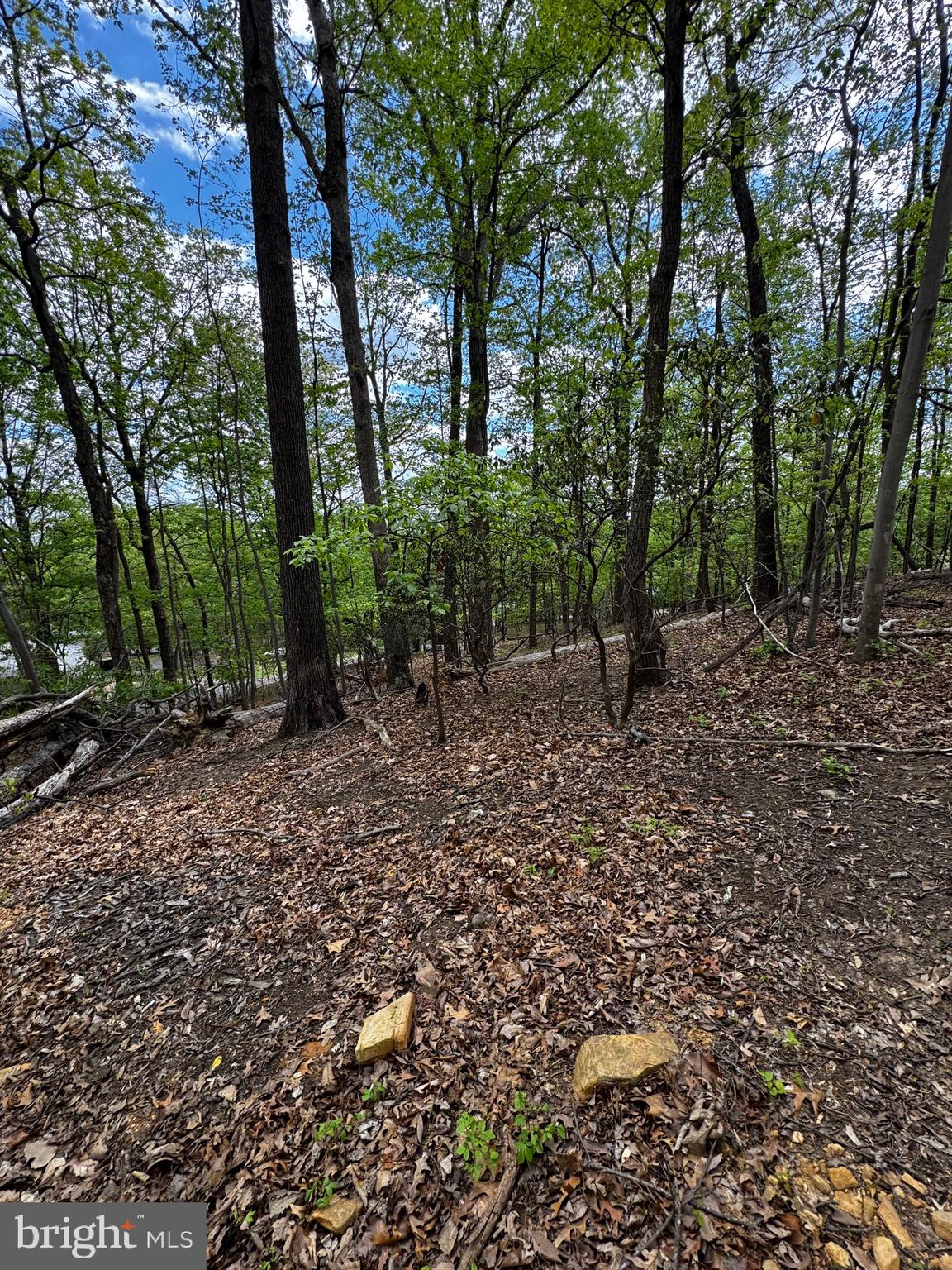 BULL RUN MOUNTAIN ESTATE - Land