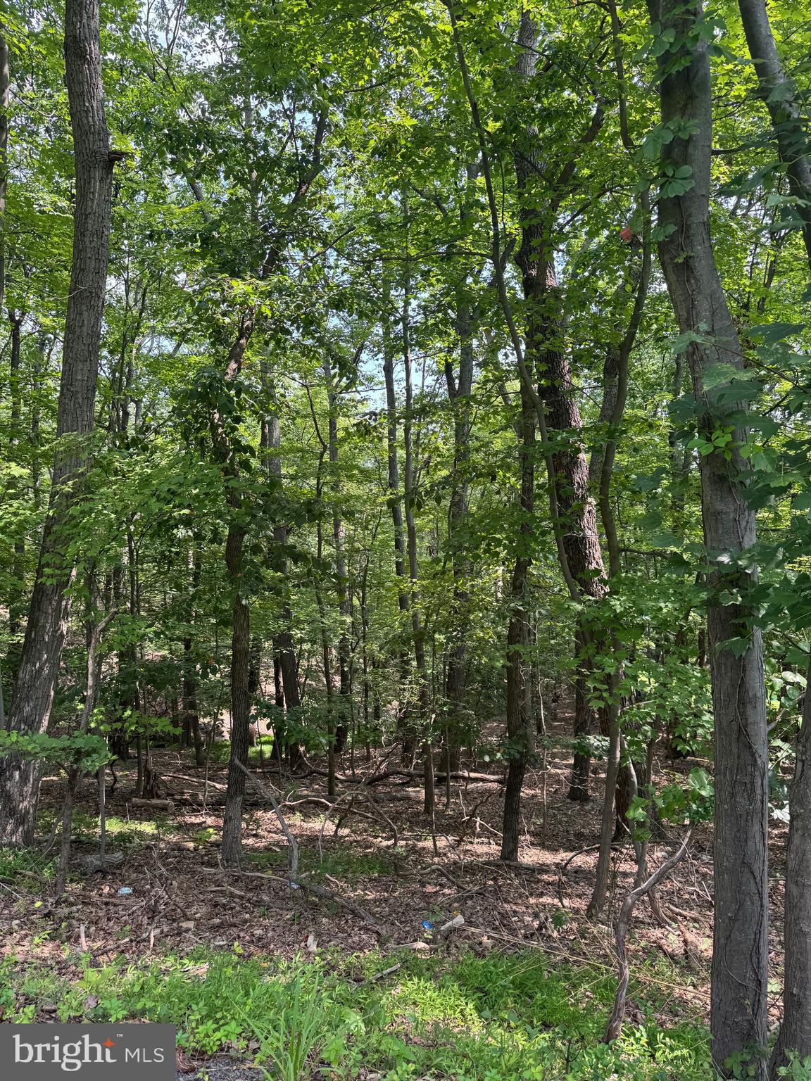 BULL RUN MOUNTAIN ESTATE - Land