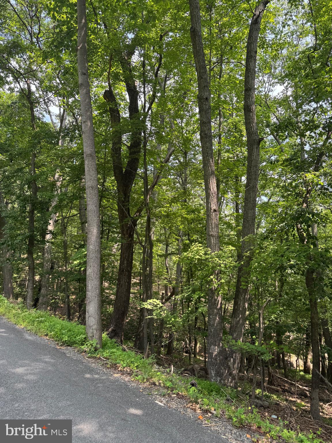 BULL RUN MOUNTAIN ESTATE - Land