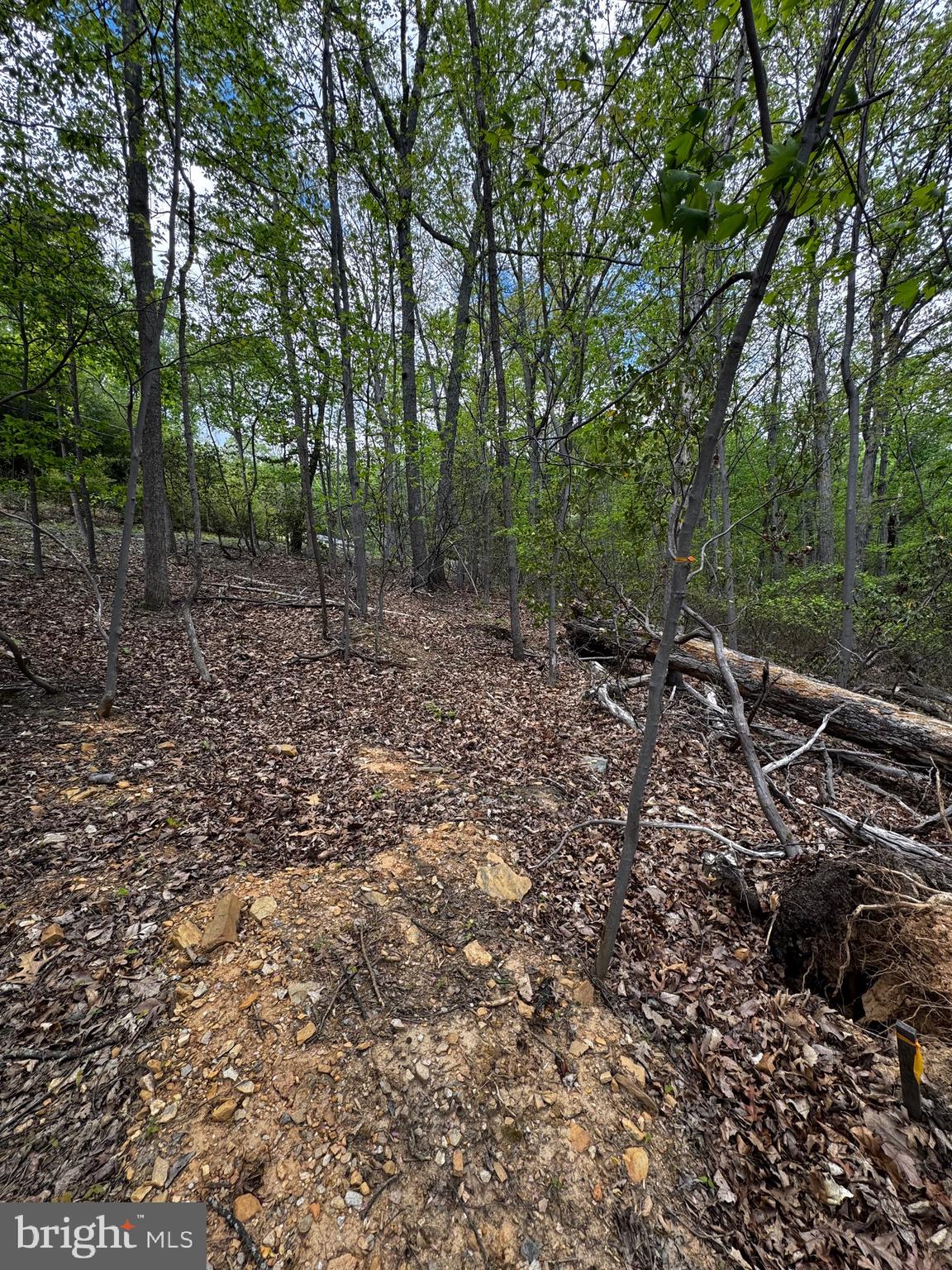 BULL RUN MOUNTAIN ESTATE - Land