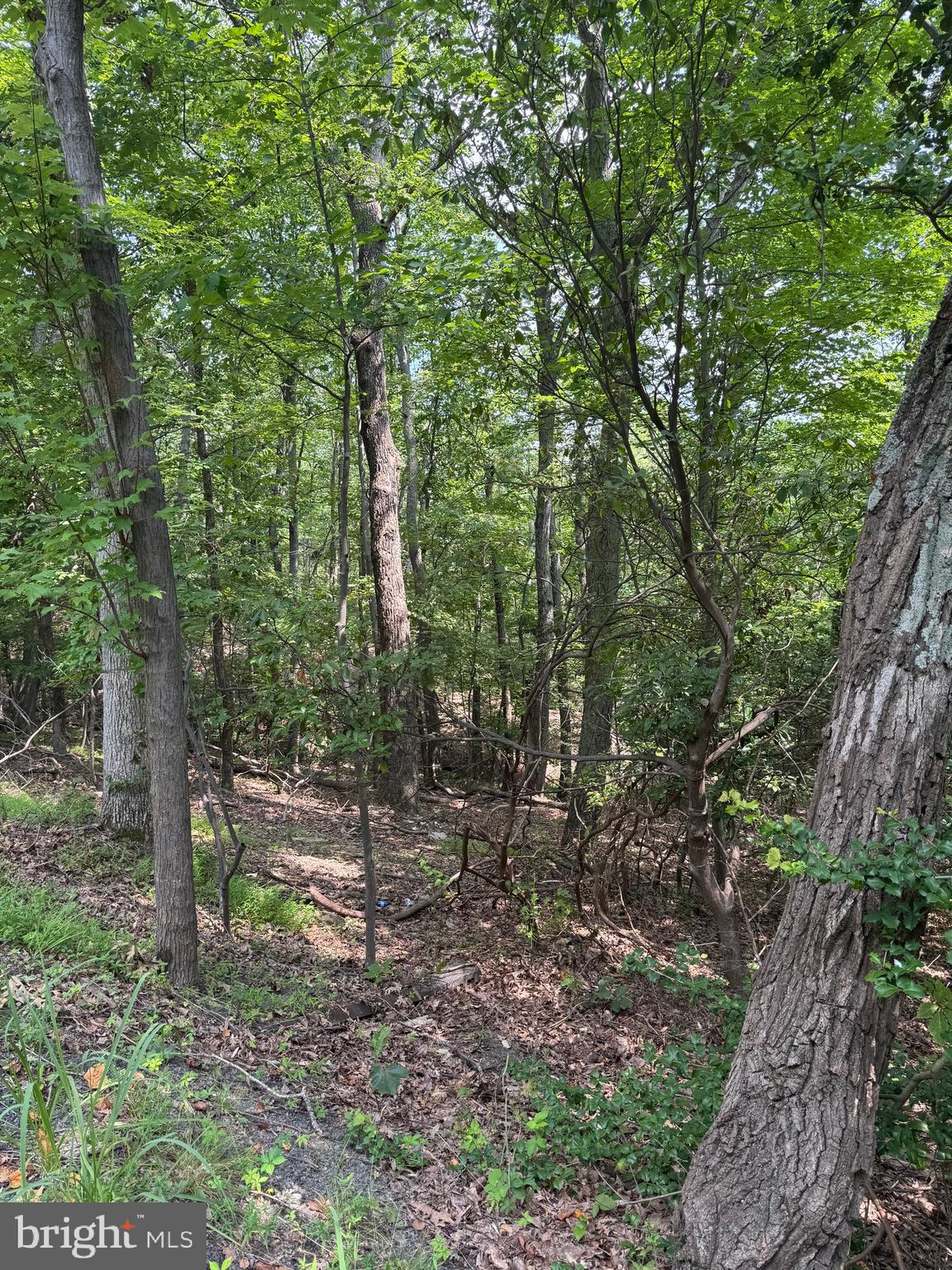 BULL RUN MOUNTAIN ESTATE - Land