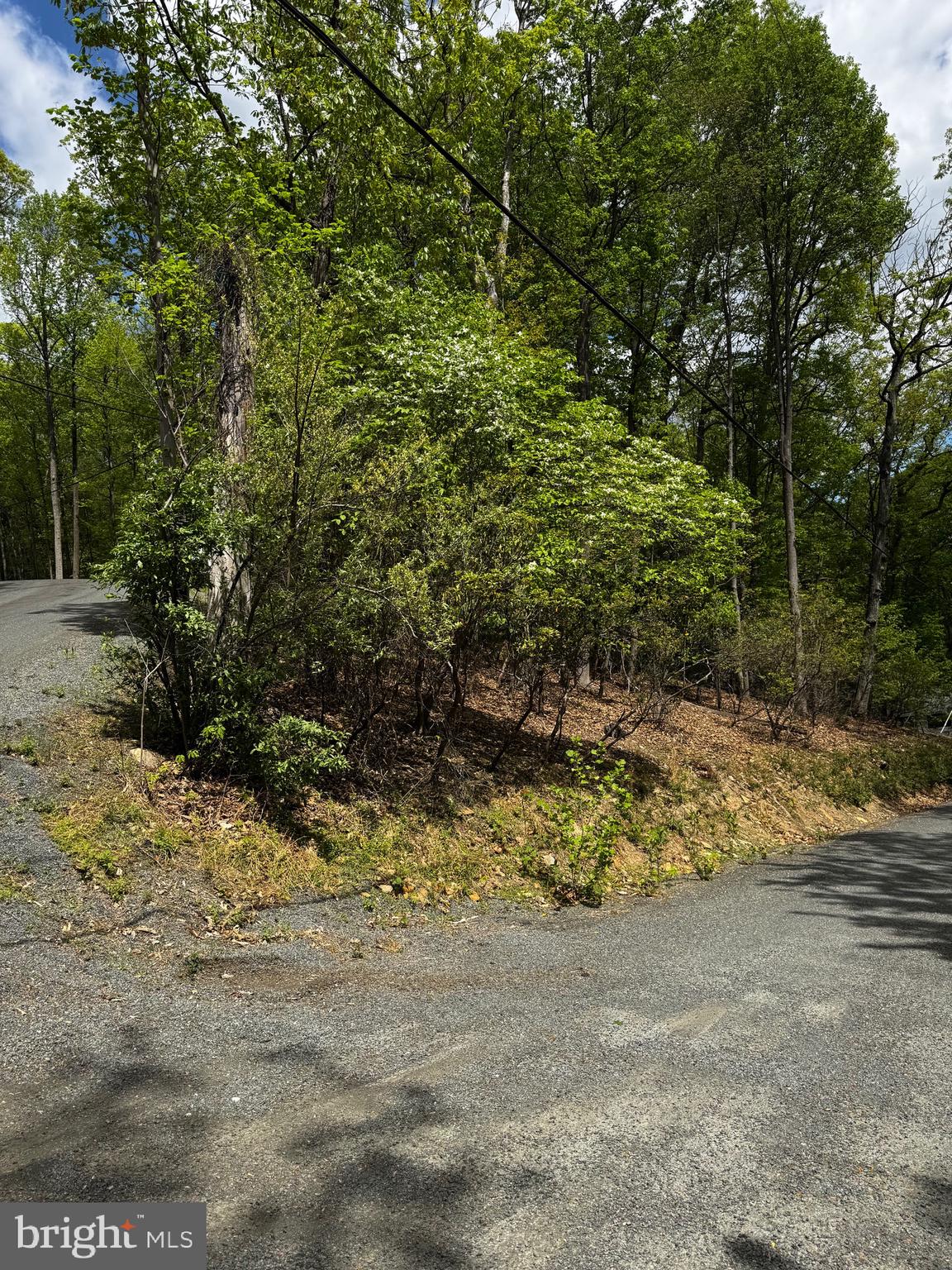 BULL RUN MOUNTAIN ESTATE - Land