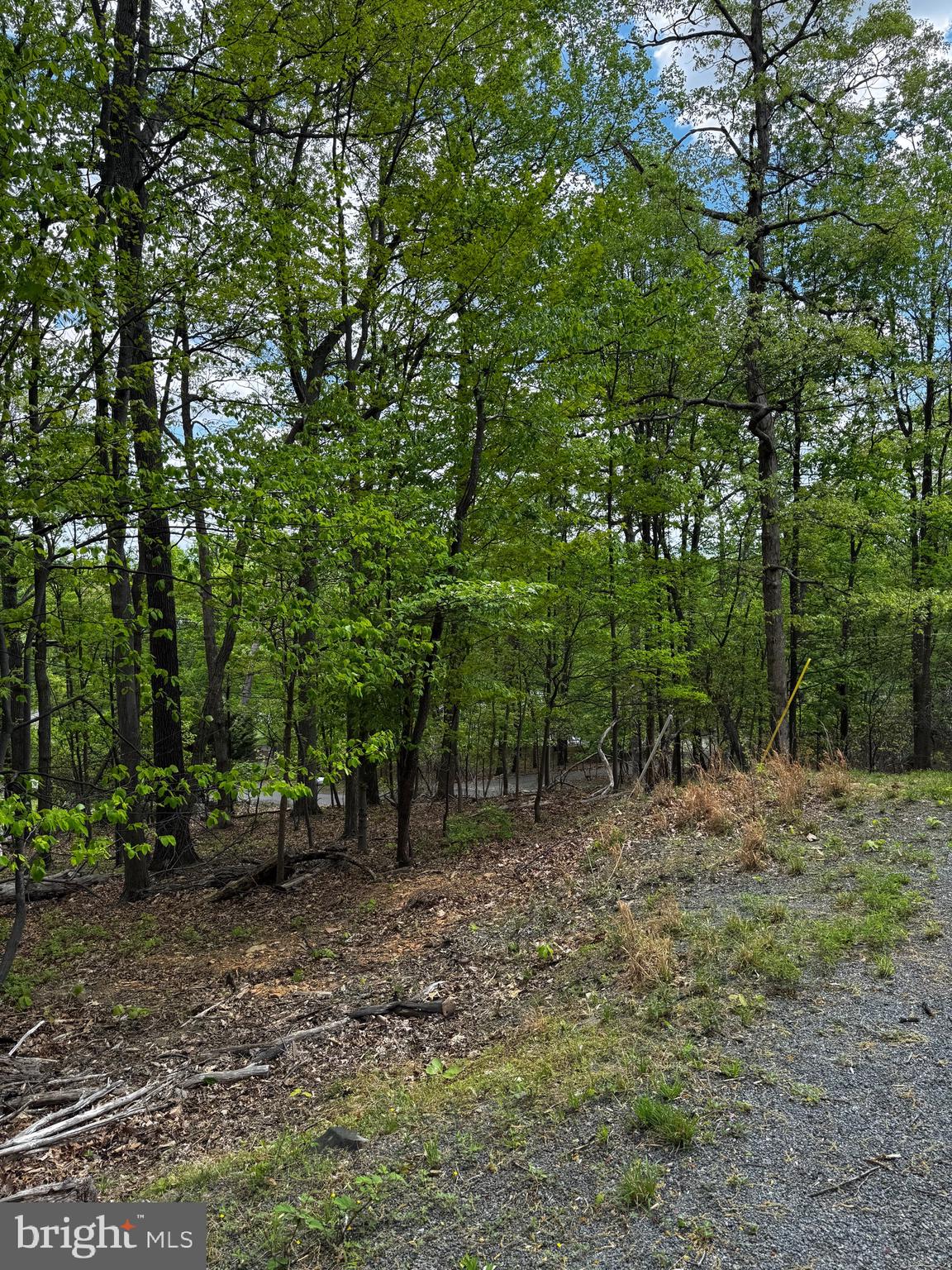 BULL RUN MOUNTAIN ESTATE - Land