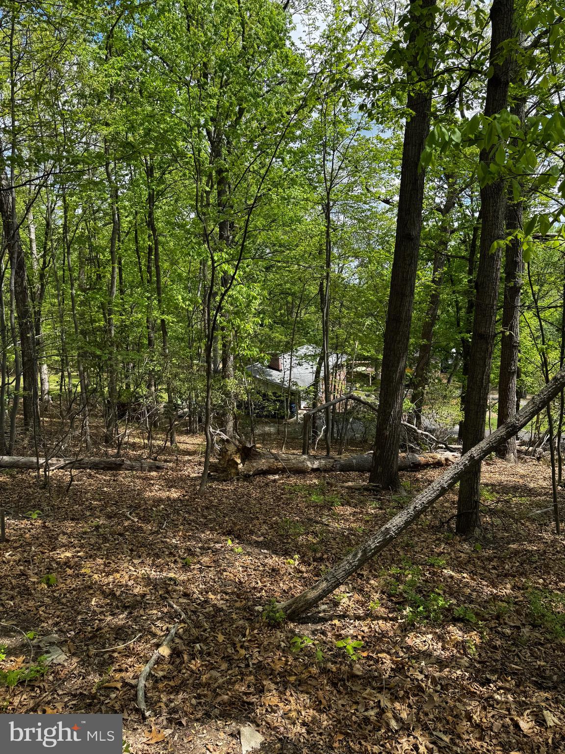 BULL RUN MOUNTAIN ESTATE - Land