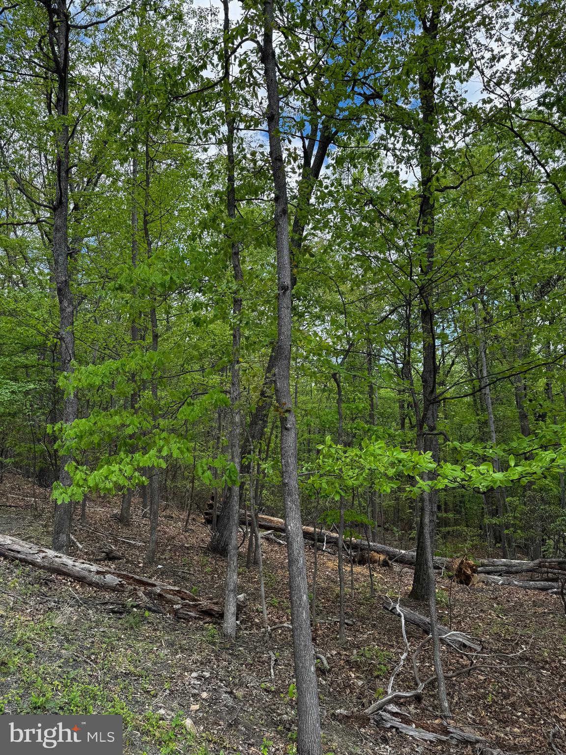 BULL RUN MOUNTAIN ESTATE - Land