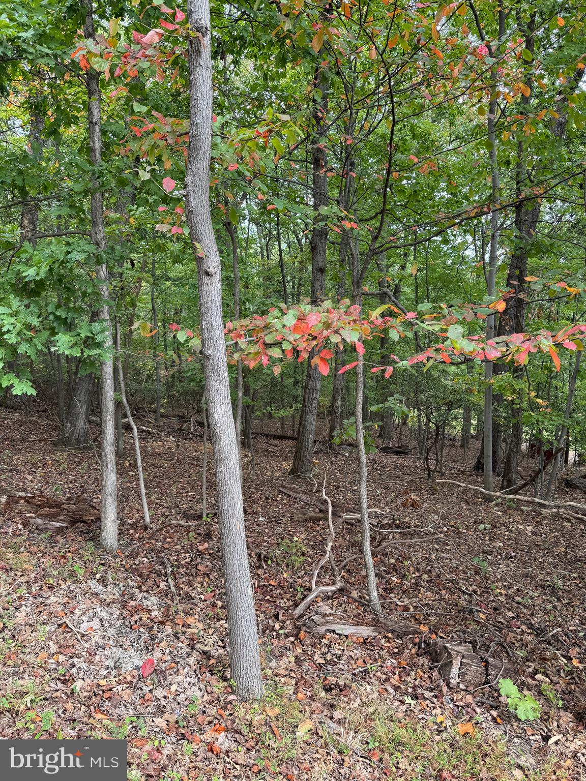 BULL RUN MOUNTAIN ESTATE - Land