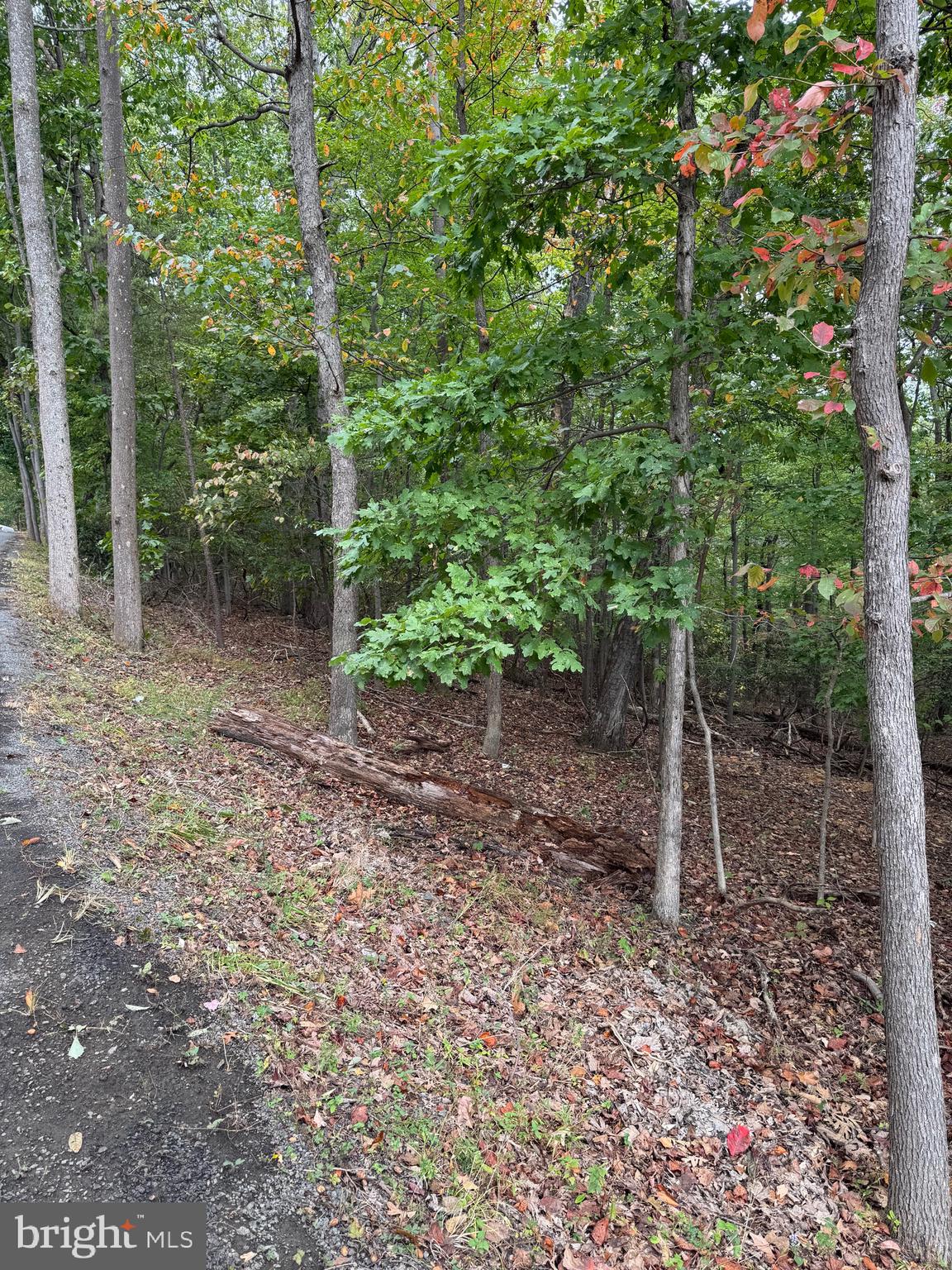 BULL RUN MOUNTAIN ESTATE - Land