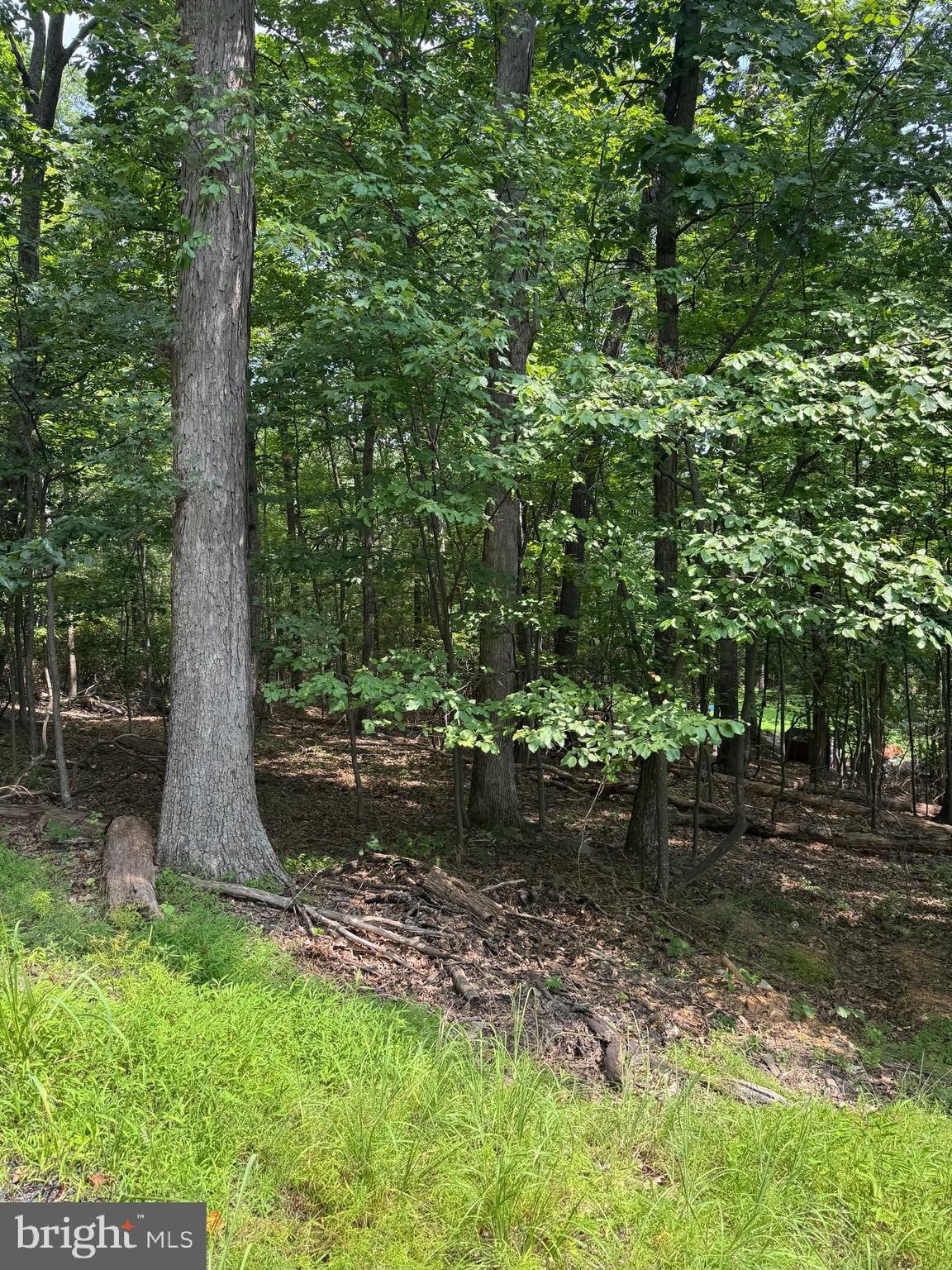 BULL RUN MOUNTAIN ESTATE - Land