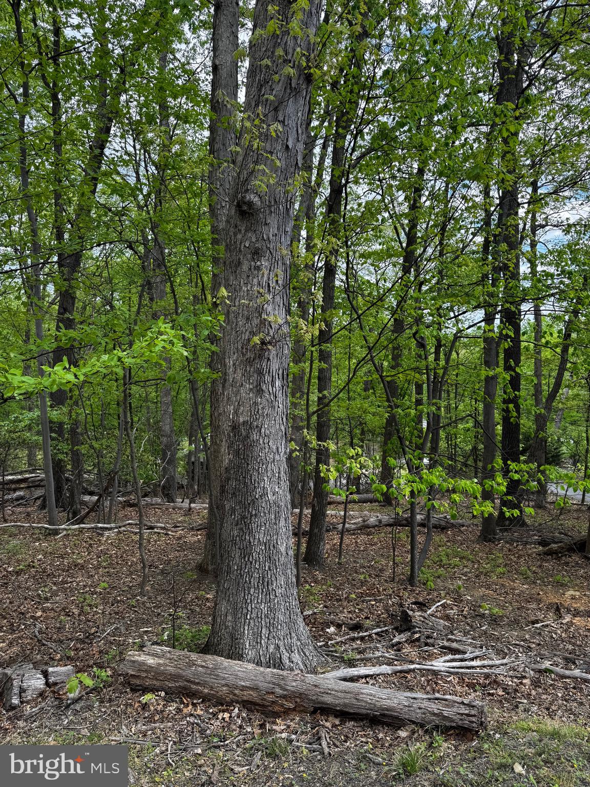 BULL RUN MOUNTAIN ESTATE - Land