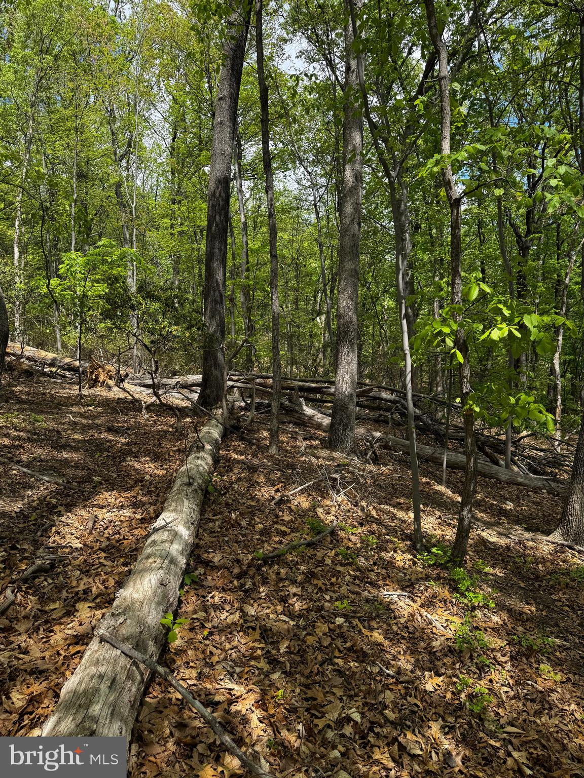 BULL RUN MOUNTAIN ESTATE - Land