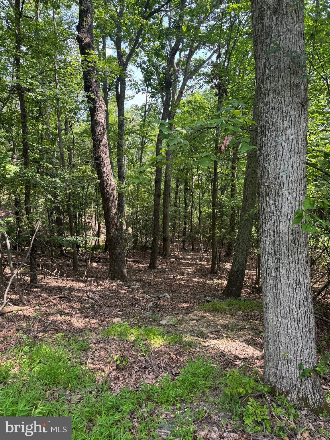 BULL RUN MOUNTAIN ESTATE - Land