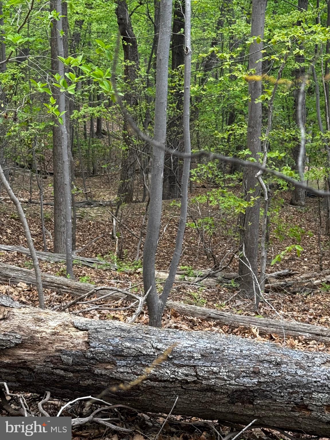 BULL RUN MOUNTAIN ESTATE - Land