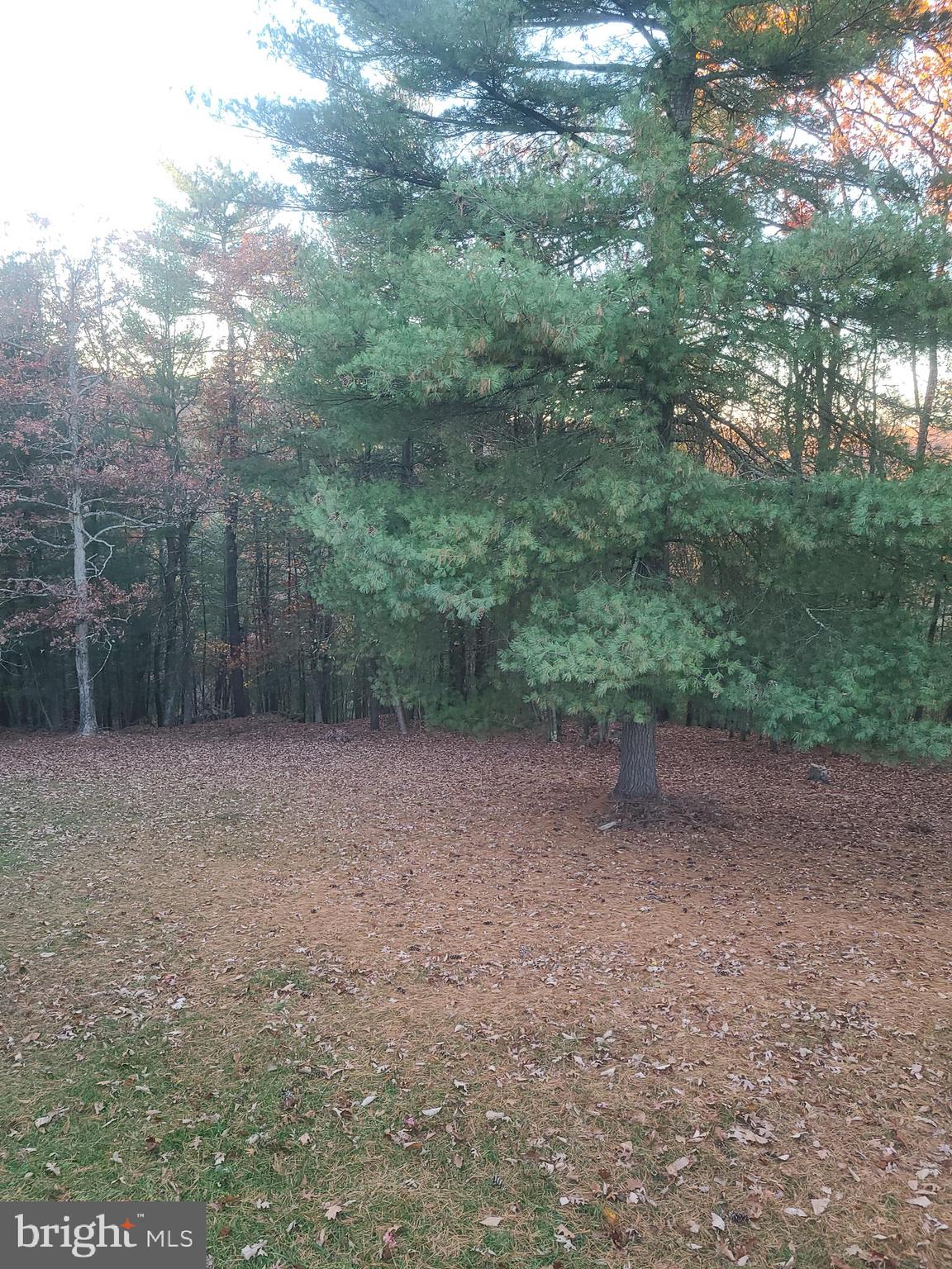 LONGVIEW SUBDIVISION - Residential