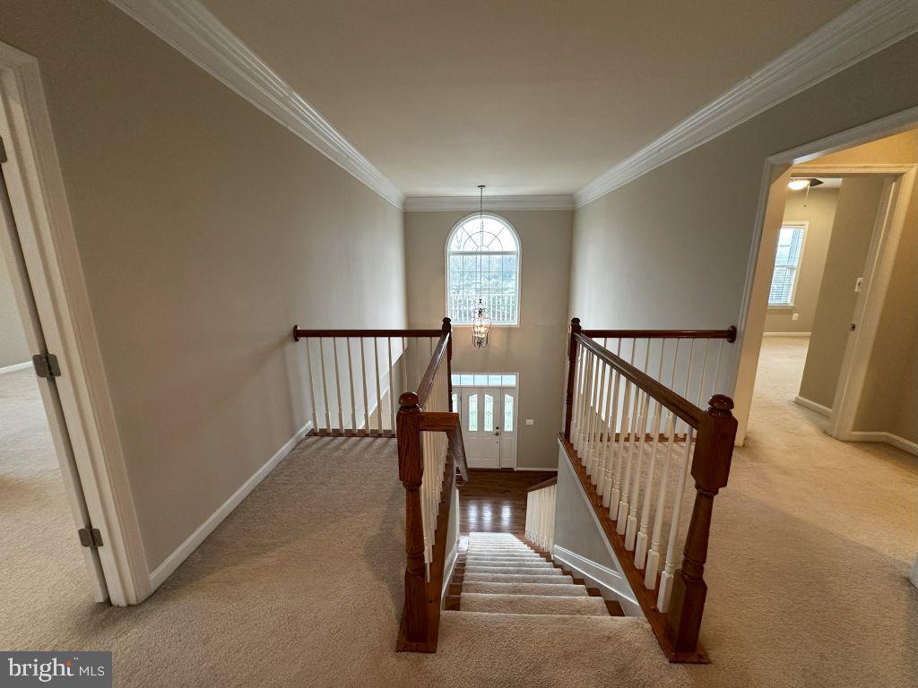 EVERGREEN VILLAGE - Residential Lease