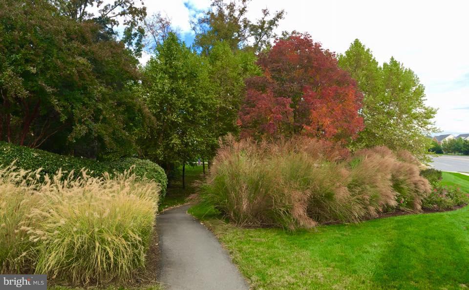 SUMMERFIELD - Residential