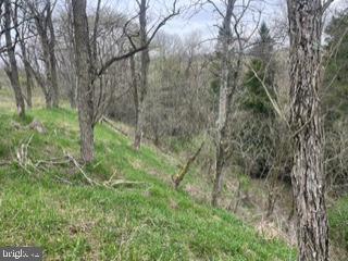 Lot on CALDWELL ROAD