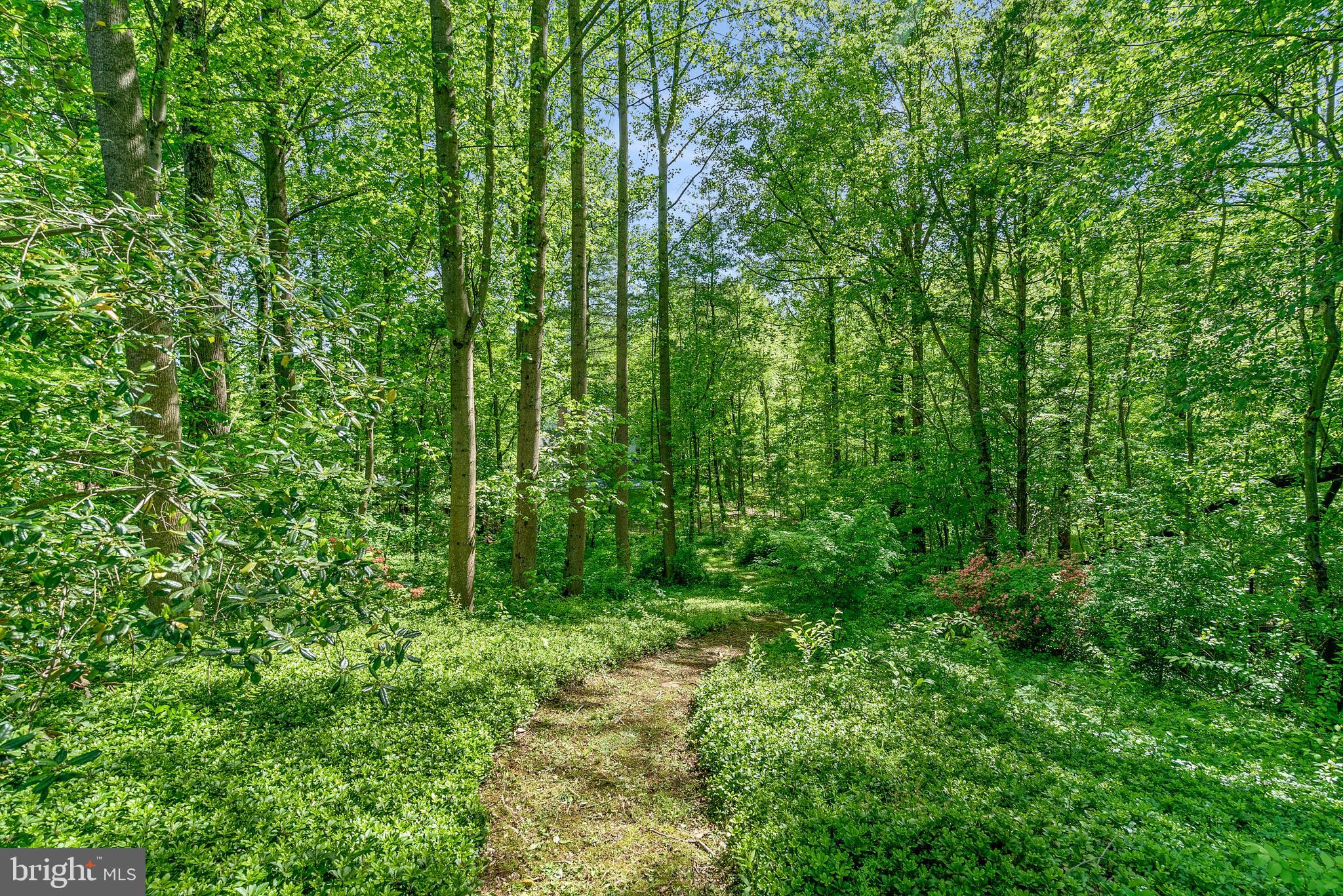 NORBECK ESTATES - Residential