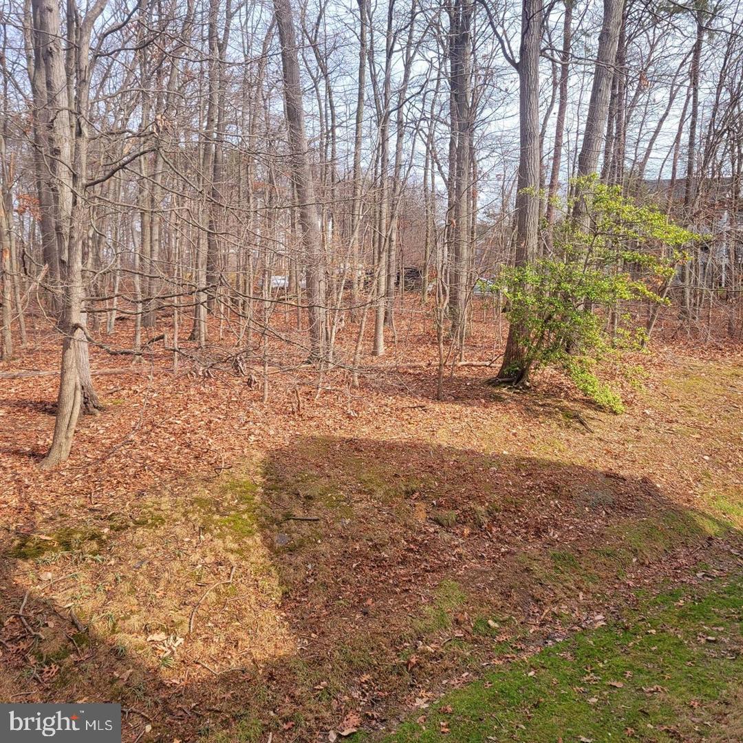 WOODBRIDGE - Residential Lease