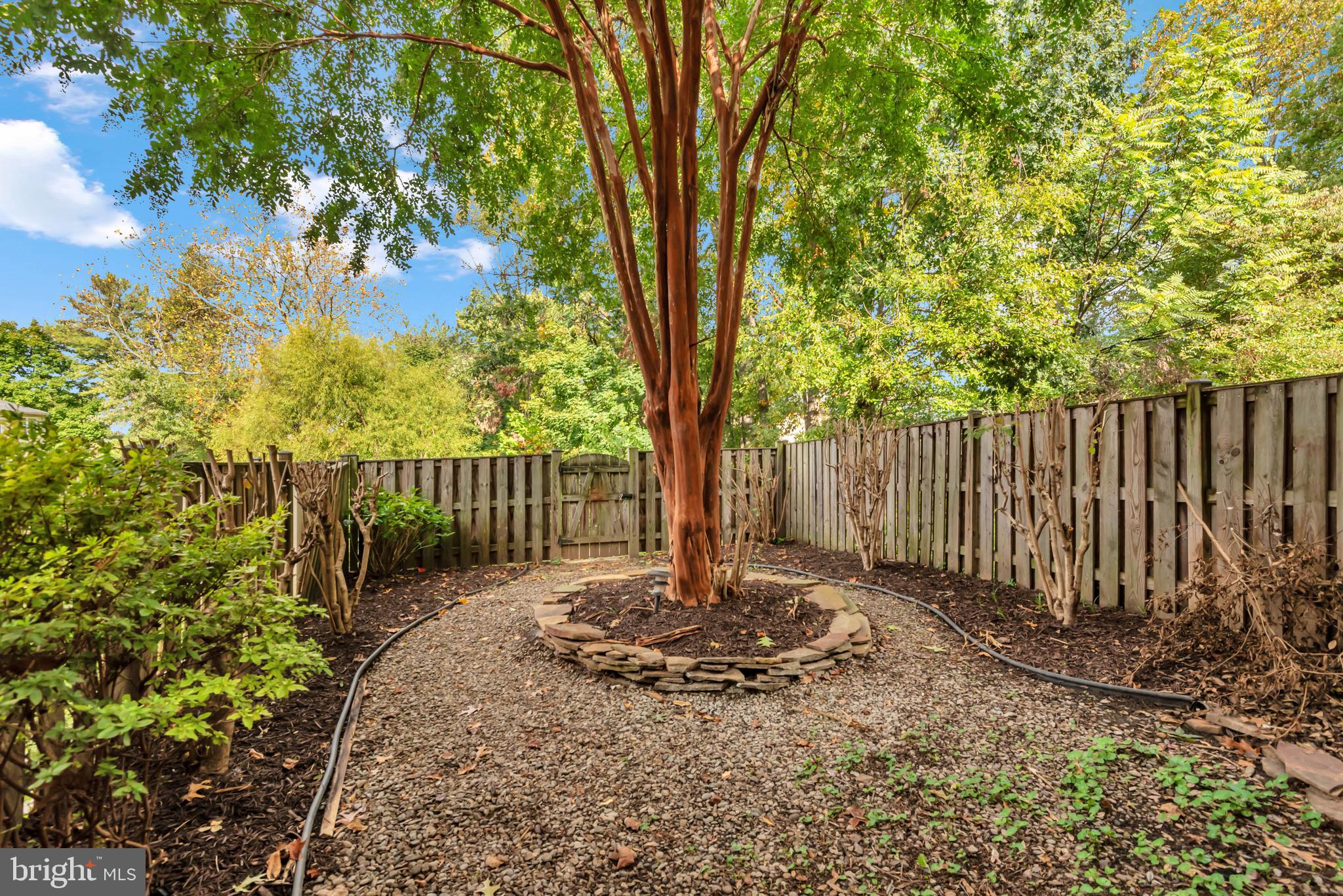 CARLTON SQUARE - Residential Lease