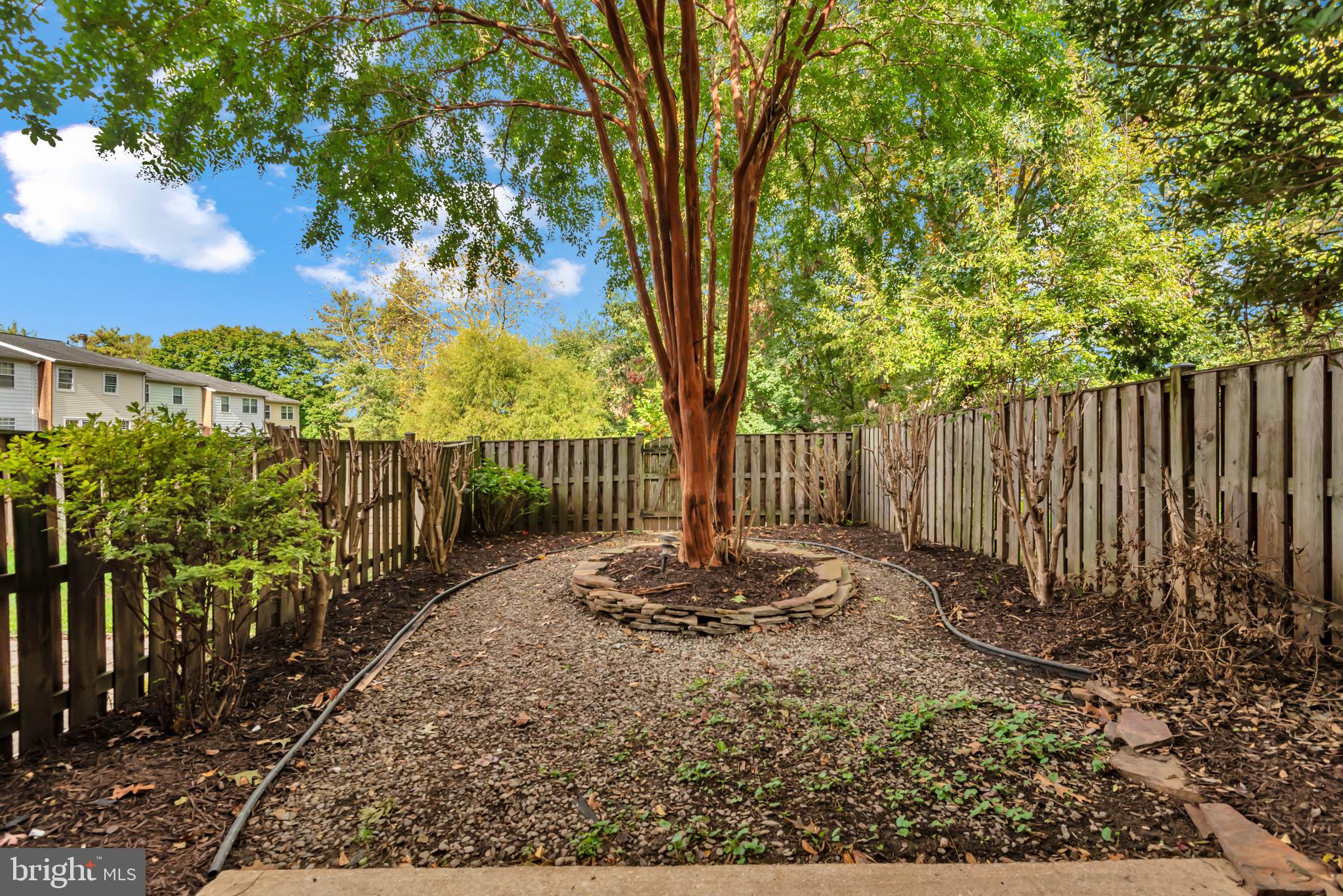 CARLTON SQUARE - Residential Lease