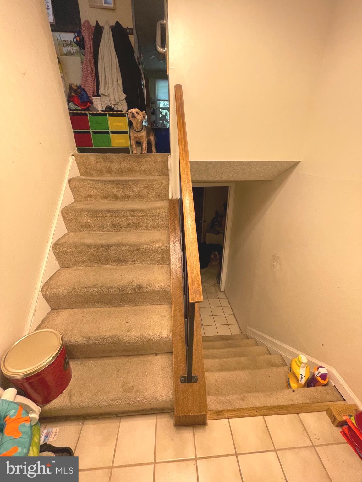 VILLAGE OF OWEN BROWN - Residential