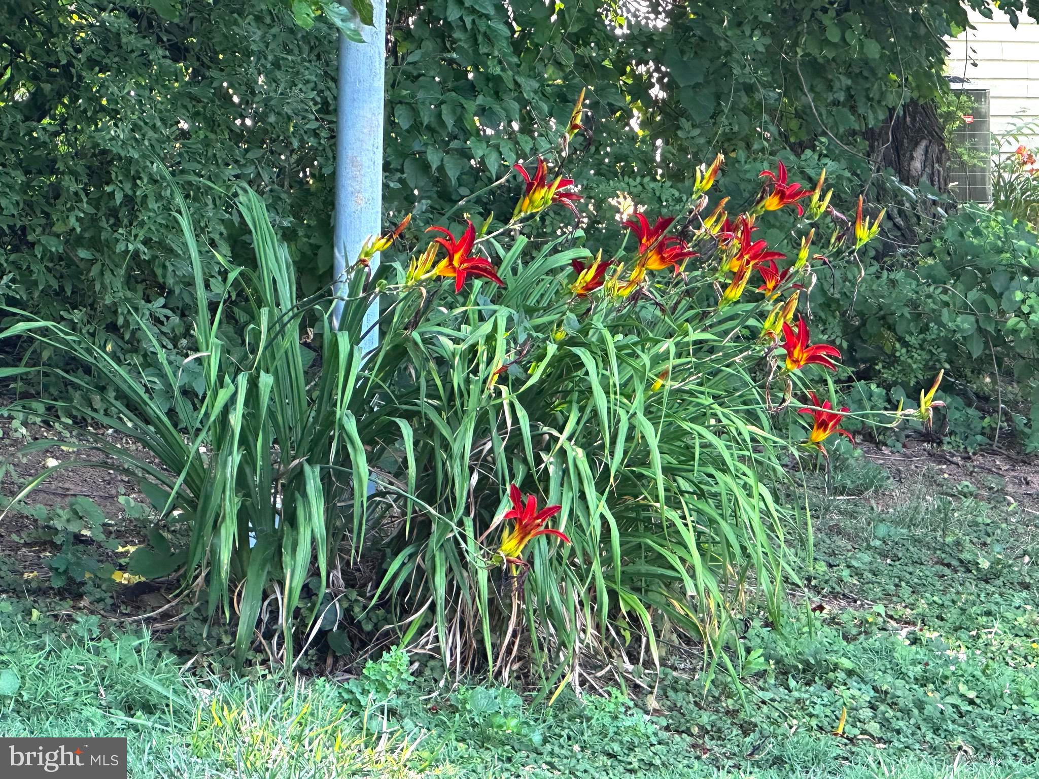 GRAFTON HEIGHTS - Residential