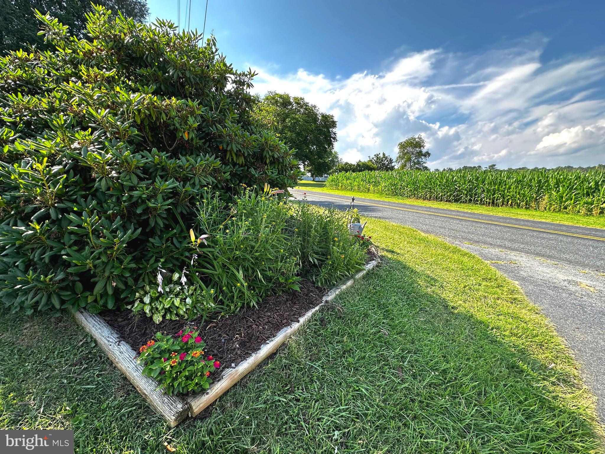 GRAFTON HEIGHTS - Residential