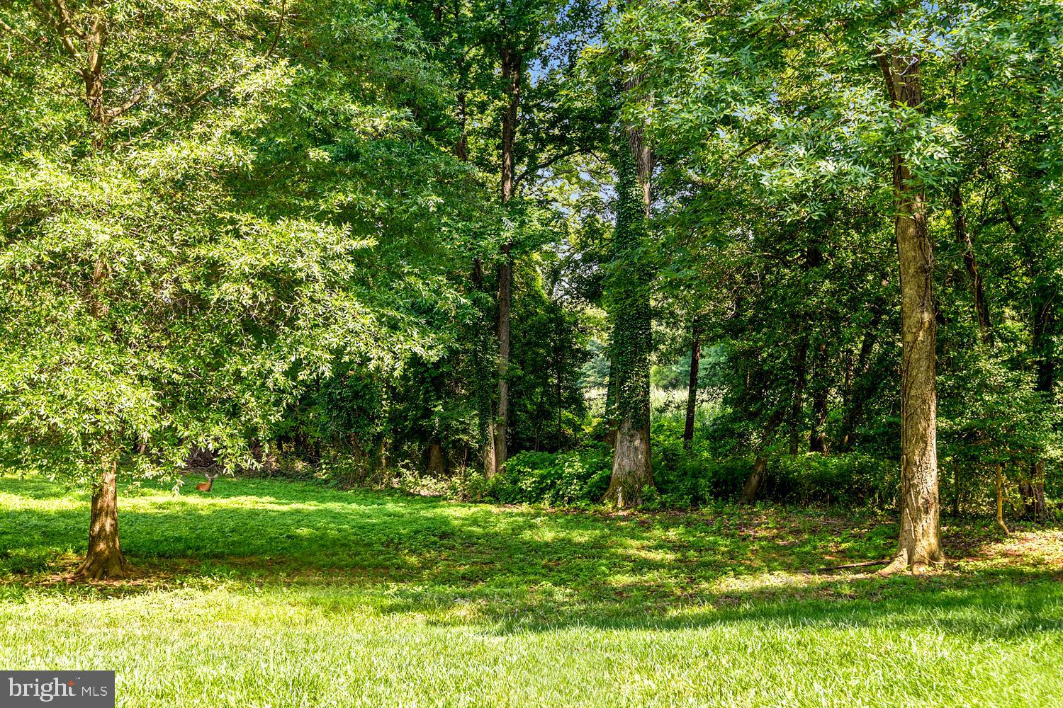 LAKE HERON CONDO - Residential