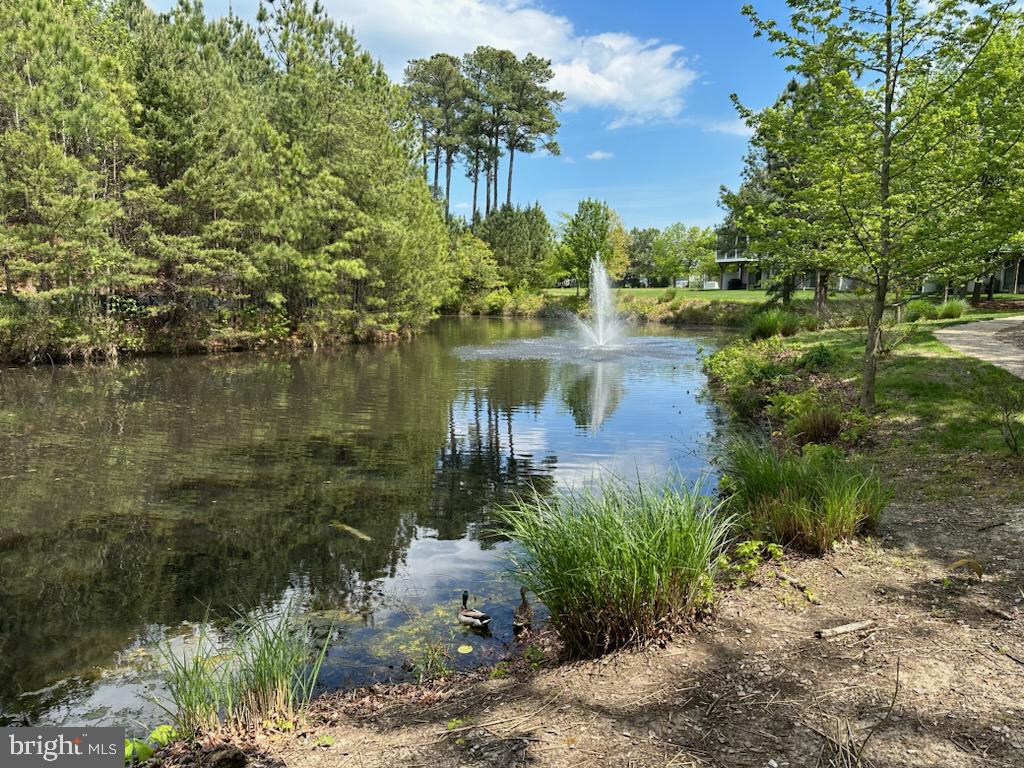 OYSTER BAY CONDOMINIUMS - Land