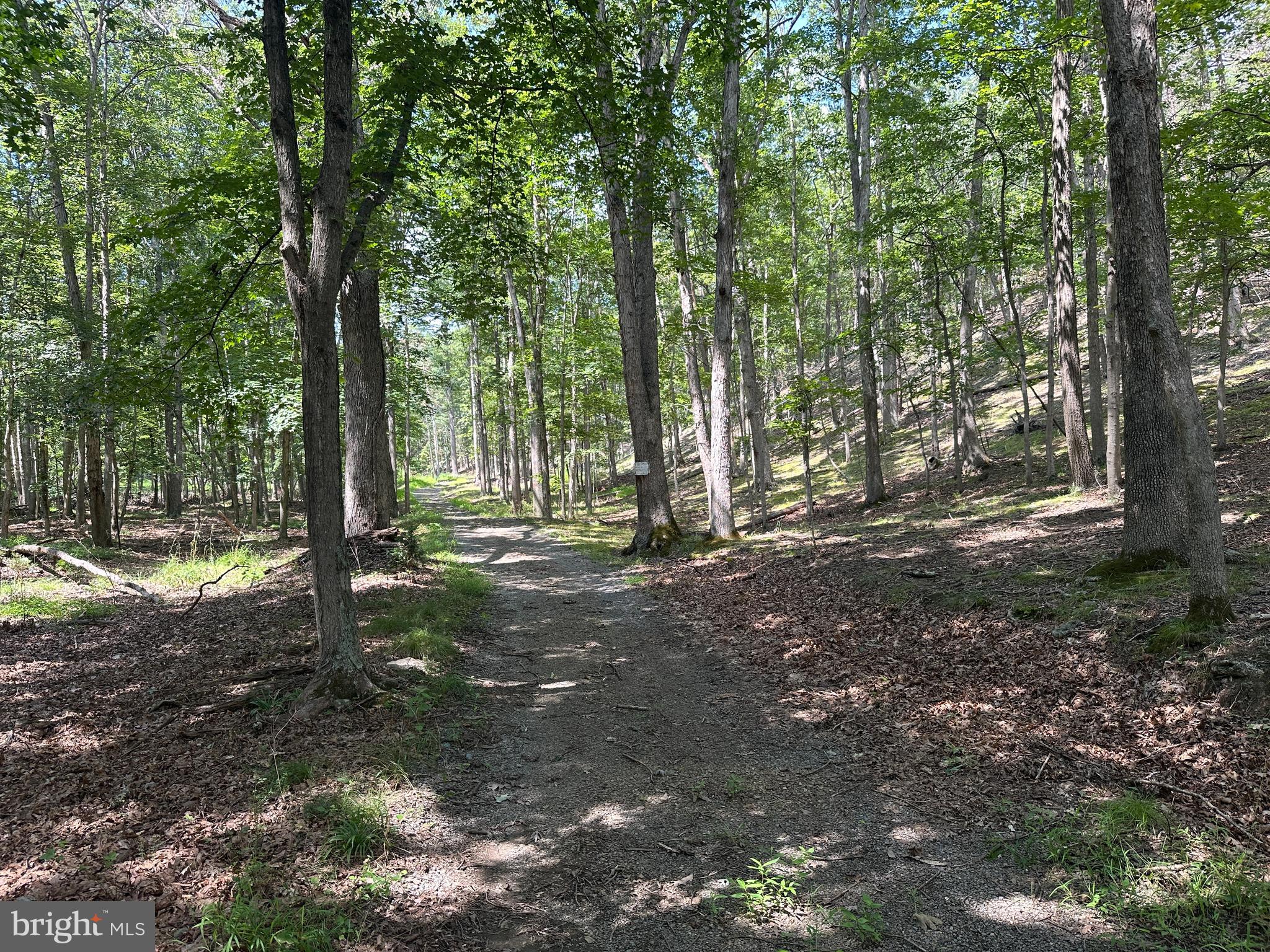 HAMILTON ESTATES - Land