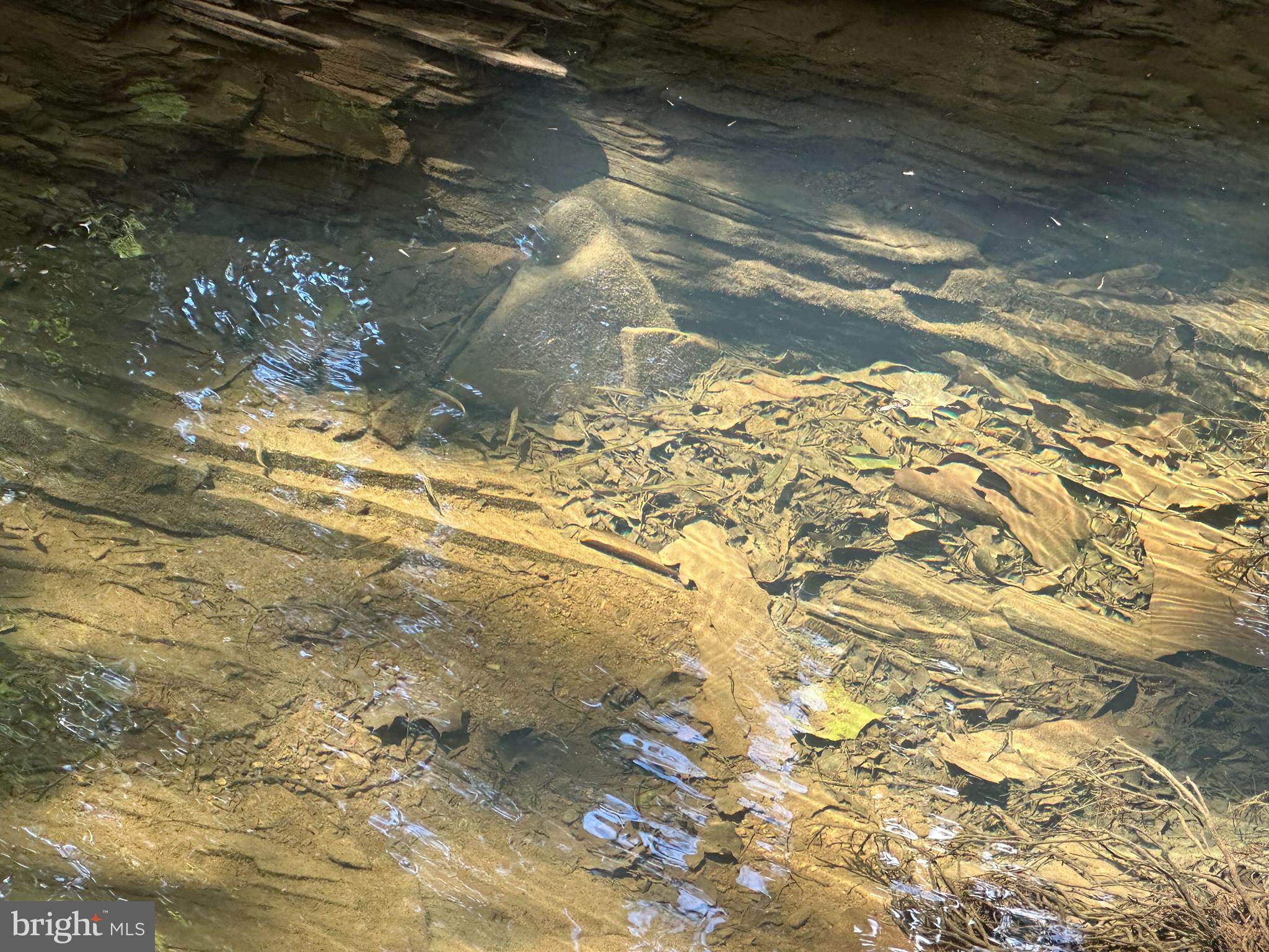 HAMILTON ESTATES - Land