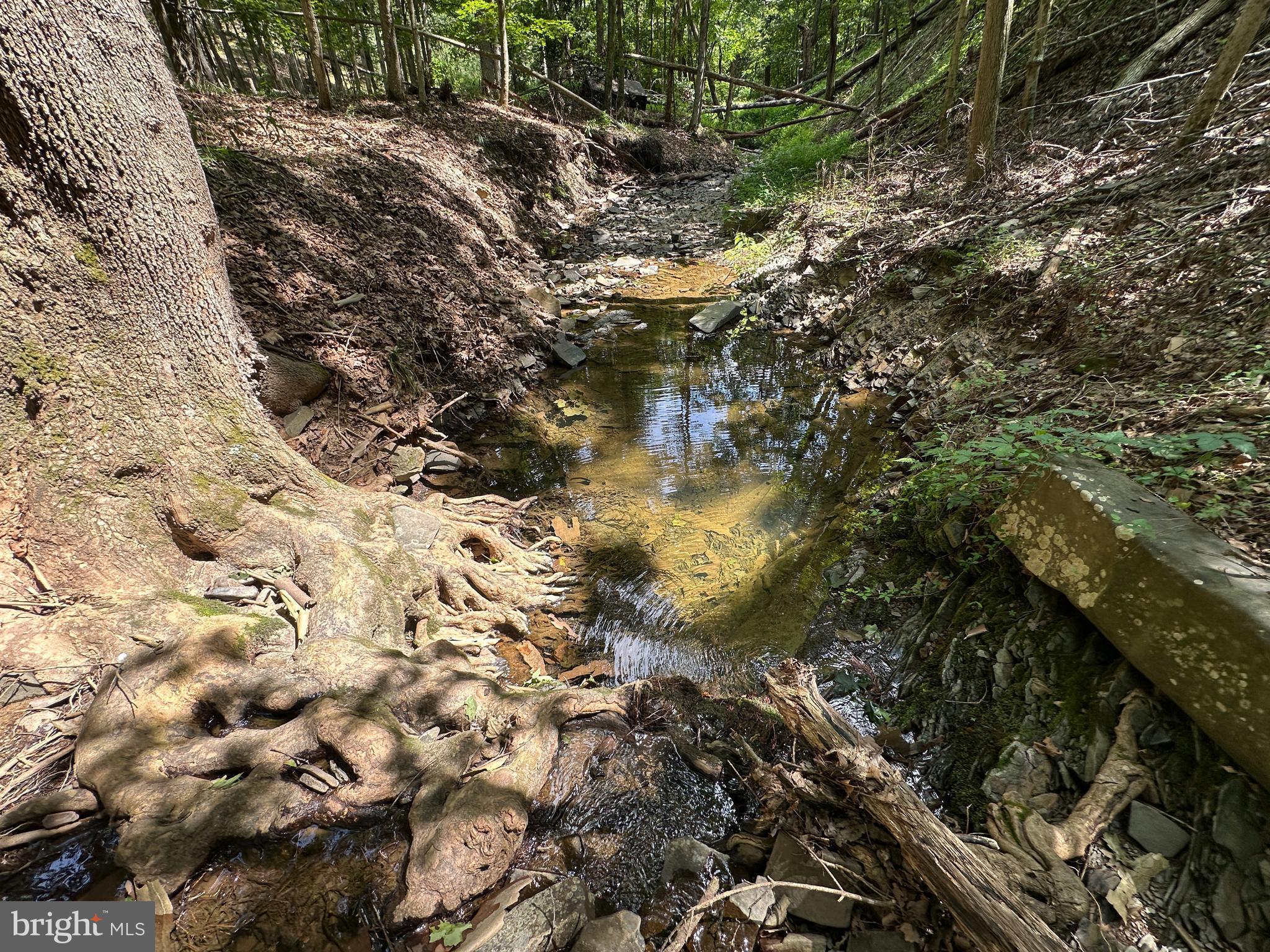 HAMILTON ESTATES - Land