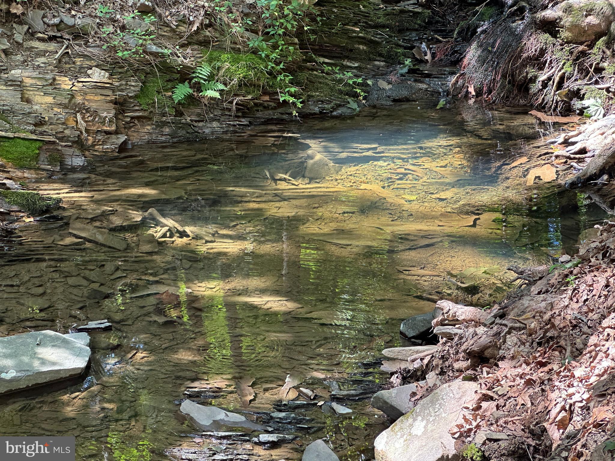 HAMILTON ESTATES - Land